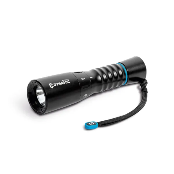 Dive Light DL-1200 01