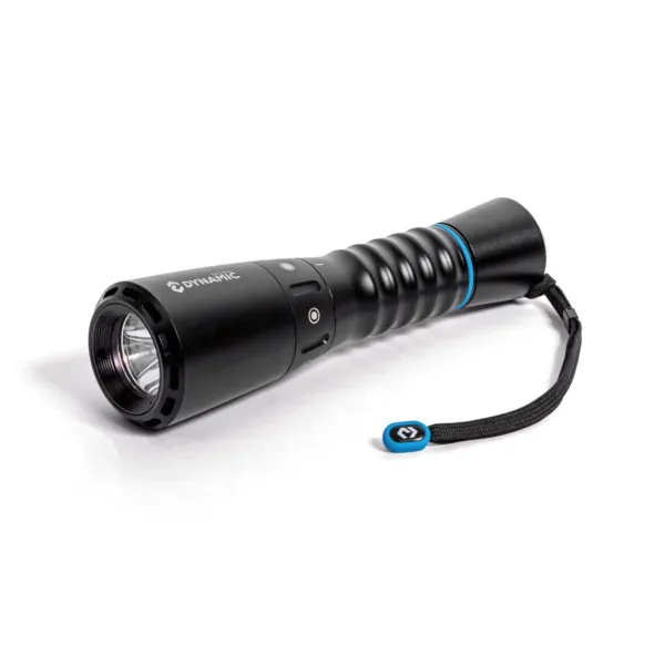 Dive Light DL-2000 01