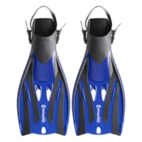 Fins Martinique Blue Yellow 01